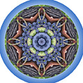 Loop